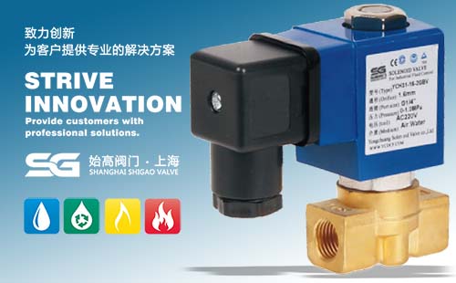 SGH31�߉�ֱ��ʽ늴��y