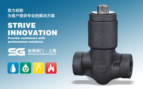 ���ܷ���ֹ���y