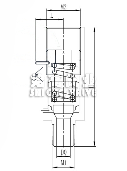 �S�~�͜ذ�ȫ�y�ߴ�D