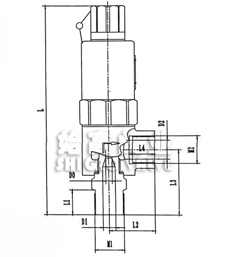 �͜ظ߉���ȫ�y�ߴ�D