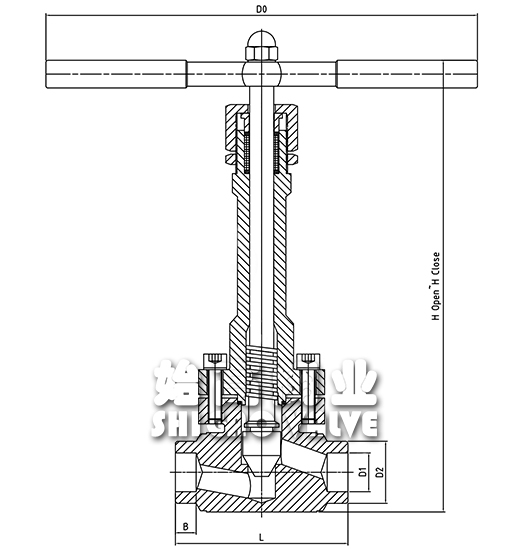 �䓸߉��͜ؽ�ֹ�y�ߴ�D