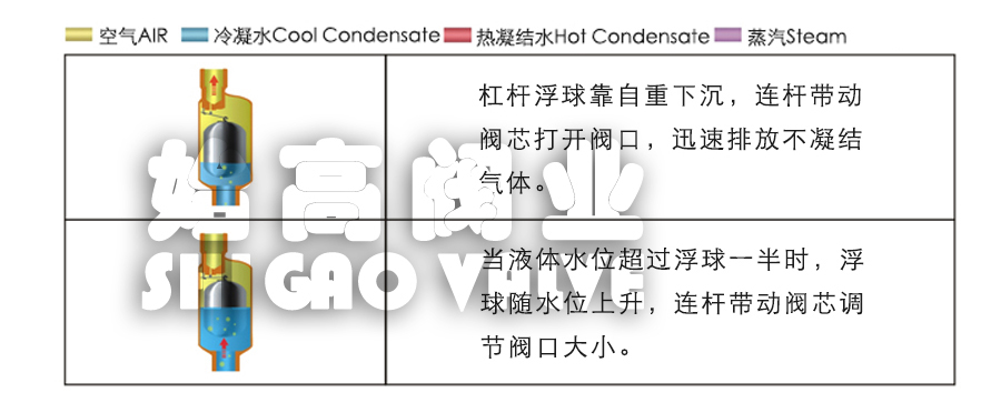 ���P䓸߉��Ś��y����ԭ��D