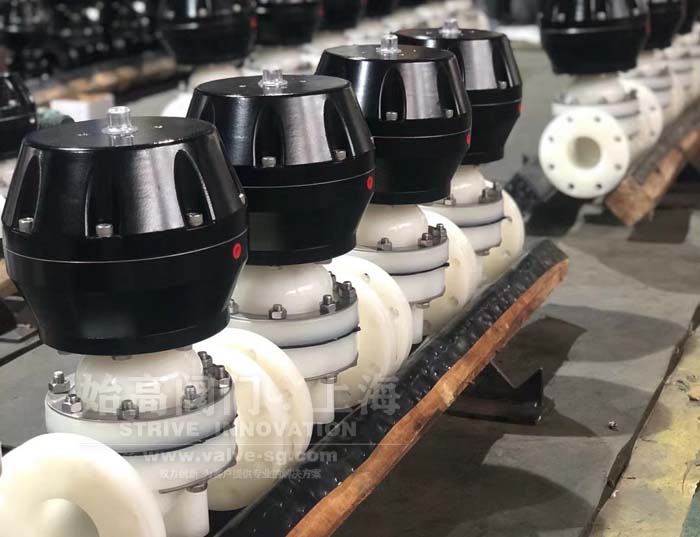 ��Ĥ�y����x��