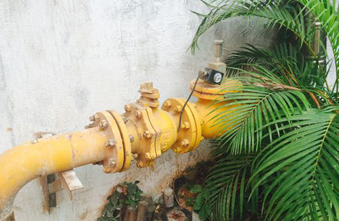 늴��y�ı��B(y��ng)�֪