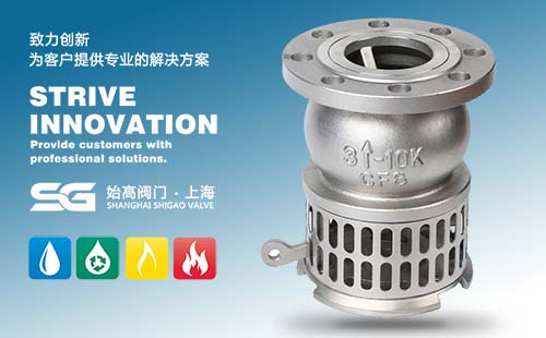 ����ʽ���y