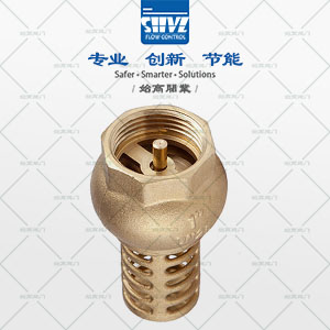 SGFP41���ķ���ϩ늴��y