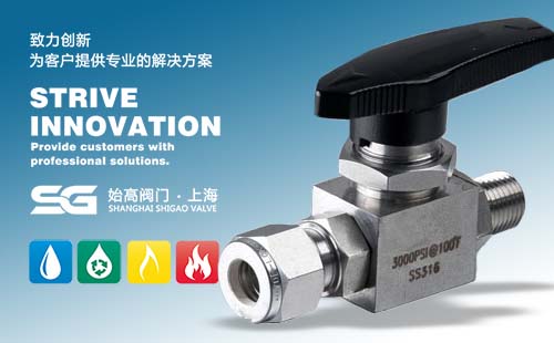 SG-BVF���ݼy���y