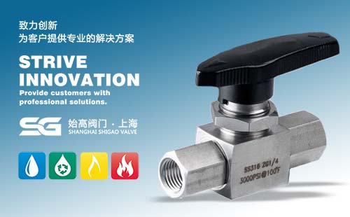 SG-BVF��(n��i)�ݼy���y