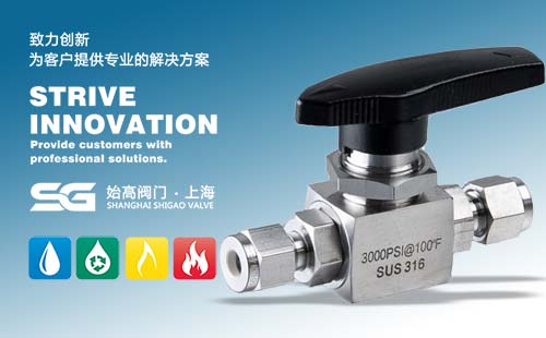 SG-BVF�������y