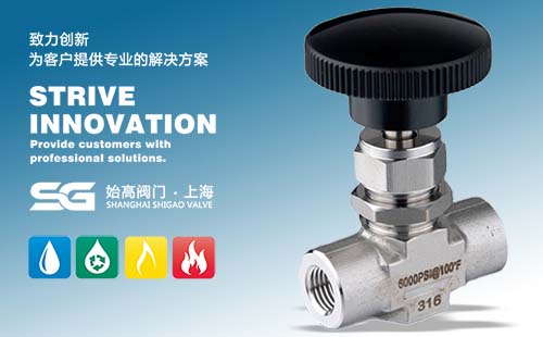 SG-NVA��(n��i)�ݼy����y