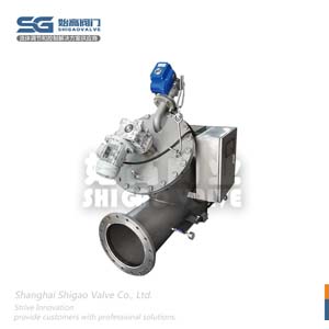 Y型自動(dòng)刷式過濾器圖3