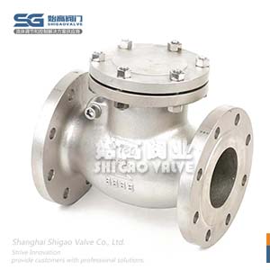 不銹鋼美標(biāo)止回閥圖1