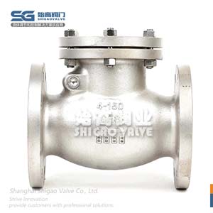 不銹鋼美標(biāo)止回閥圖4