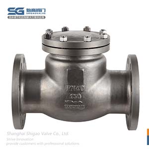 國標(biāo)旋啟式止回閥圖2