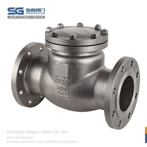 國標(biāo)旋啟式止回閥圖3