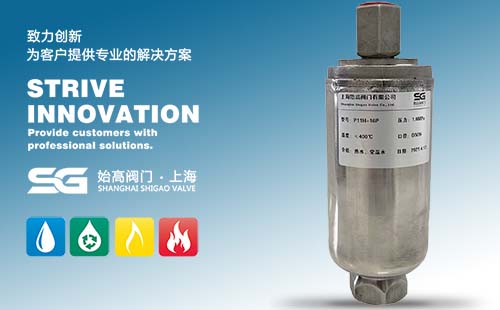 ���P䓸ߜ��Ś��y