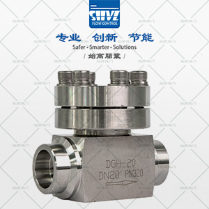 高壓低溫止回閥圖1