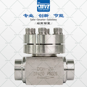 高壓低溫止回閥圖4