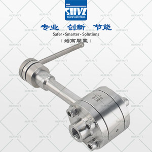 長軸低溫球閥圖1