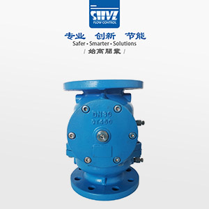 低阻力倒流防止器圖2