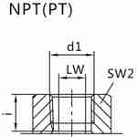 VH2Vϵ��Һ���߉����yNPT�ݼy