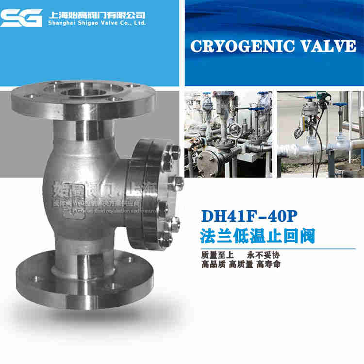 超低溫止回閥 超低溫止回閥