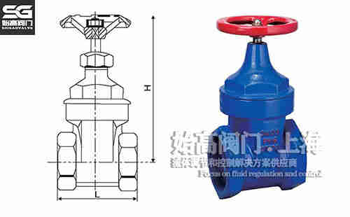 ��ī�T�F�z���l�y�ߴ�